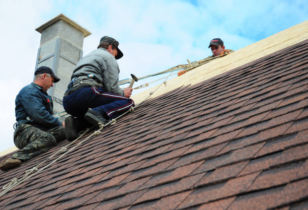 Professional Roofing Contractor in Sans Souci, SC